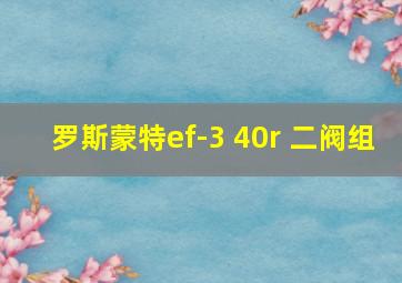 罗斯蒙特ef-3 40r 二阀组